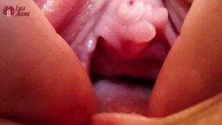 Gros plan chatte avec dilatation sauvage